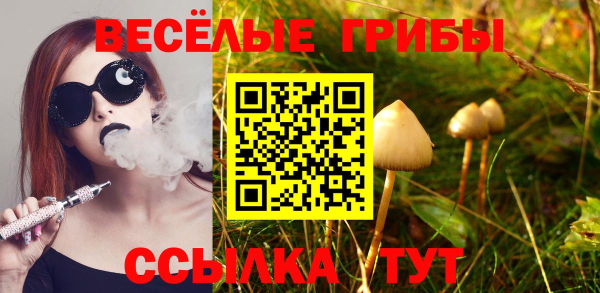 Псилоцибиновые грибы GOLDEN TEACHER  Вход с VPN  Галлюциногенные грибы Psilocybine cubensis  Краснокаменск 